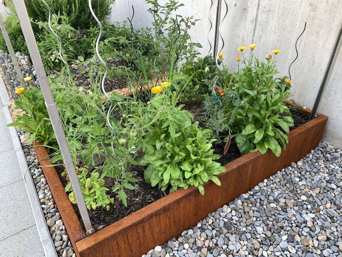 Bepflanztes Hochbeet mit Blumen