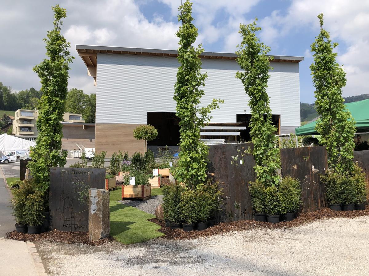 Sichtschutz, Corten, Bild 12 von 12